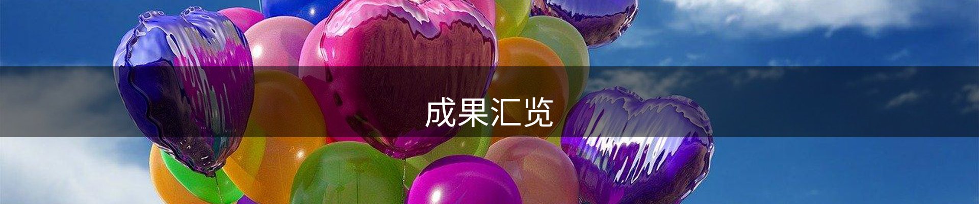 成果汇览